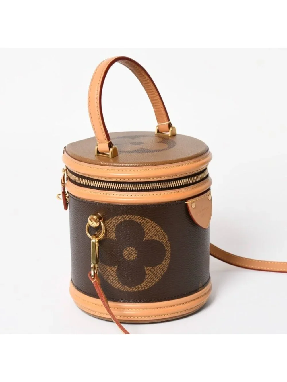 Louis Vuitton Cannes Vanity Monogram Giant Brown Reverse Shoulder Bag